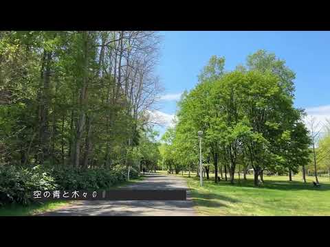 【4K】新緑の北海道真駒内公園