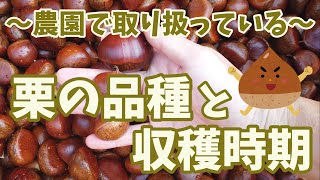 農園で取り扱っている栗の品種と収穫時期、出荷までの様子を紹介します　♪目指せ自給自足♪