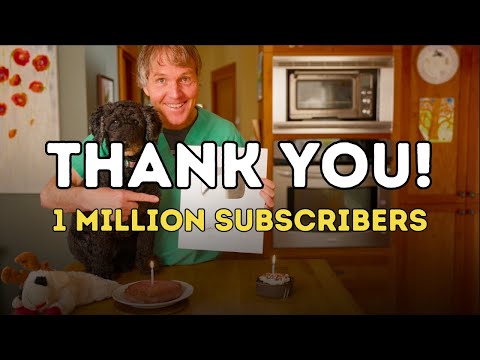 1 MILLION SUBSCRIBERS