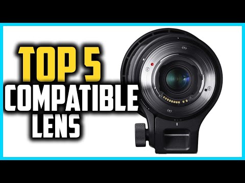 ✅Top 5 Best Canon Compatible Lens in 2024