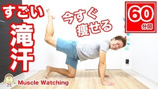 【60分】今すぐ1kg痩せる！正月太り解消すごい滝汗で秒速ダイエット！ | Muscle Watching