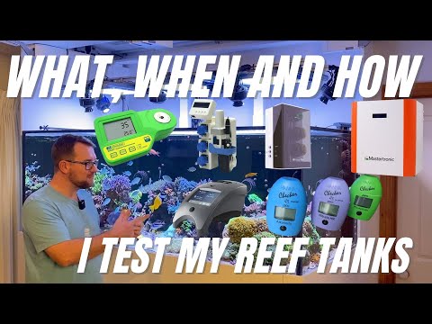 What, when and how I test all of my reef tanks!