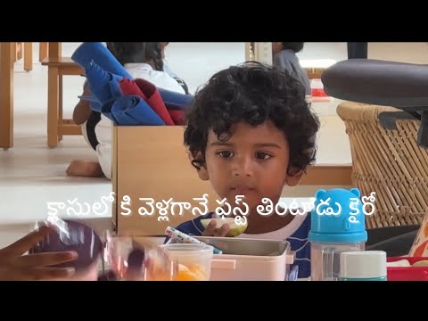 Telugu Lifestyle vlog | Hyderabad | Running a School