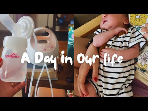 A Day In Our Life | soloing for the day