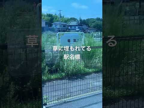 草に埋もれてる駅名標 #shorts