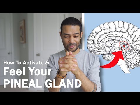 What Does Your Pineal Gland Feel Like (And How To Activate It)