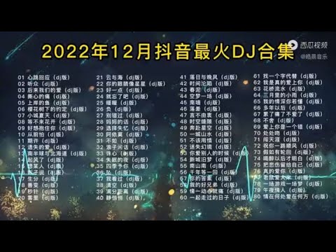 💖80首❤️2022年12月抖音最🔥DJ合集🌷重低音🫰每一首都超级好听