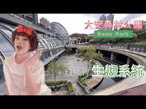 [台北慢慢走]大安/大安森林公園Daan Park🦤市中心的奇幻動物國度🐿️