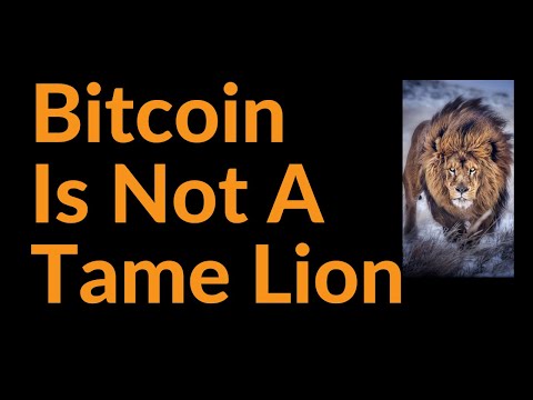 Bitcoin Is Not A Tame Lion