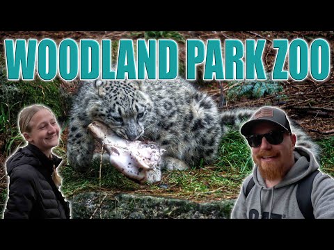 BABY SNOW LEOPARDS!!! | Woodland Park Zoo + Emma's Sister