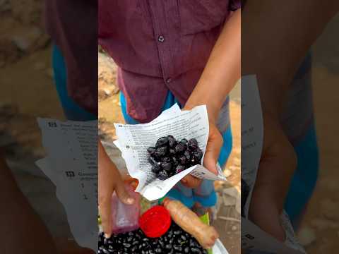 Jamun Fruit | Summer Fruit In Bangladesh #shorts #bangladeshistreetfood #ashortaday #blackberry