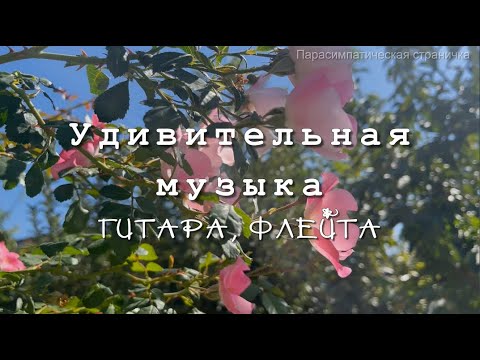 Красивая музыка   Звуки природы, гитара, флейта  Музыка для души