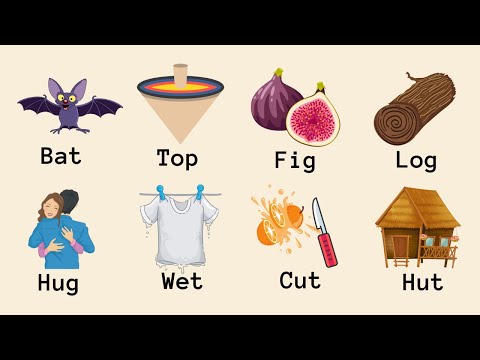 👉80 Three Latter Words | English Vocabulary With Picture | Learn English  Vocabulary