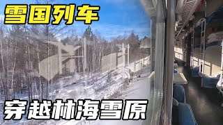 坐雪国列车，去中国最北的城市漠河，穿越林海雪原是什么体验？【小灵浪啊浪】