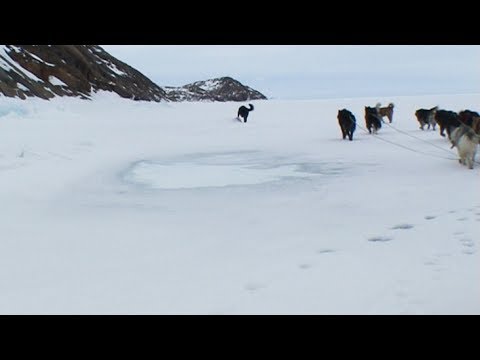 Dogsled route to the Maktak Fiord - Nanoq 2007 expedition