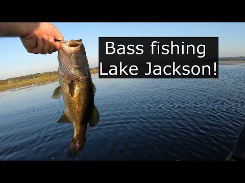 Bass fishing Lake Jackson, taking a ride in the Gator Tail Extreme GTR40XD