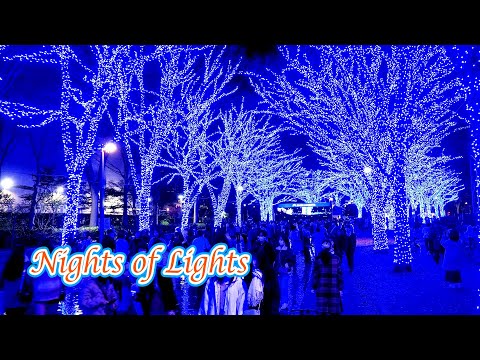 Nights of Christmas Lights Downtown Tokyo 首都圏のライトアップとイルミネーション #christmaslights