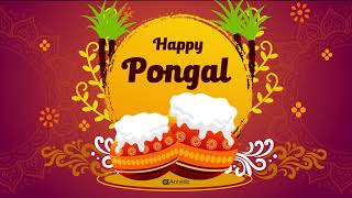 Happy Pongal | Happy Pongal Greetings | Whatsapp Status | Motion Graphics  | After effects templates