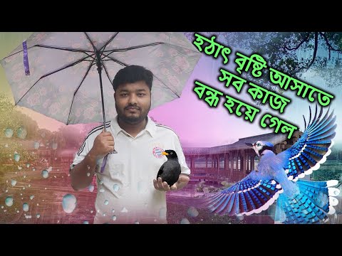 হঠাৎ করে বৃষ্টি আসাতে সব কাজ বন্ধ হয়ে গেল | All work stopped due to sudden rain | hobby bird