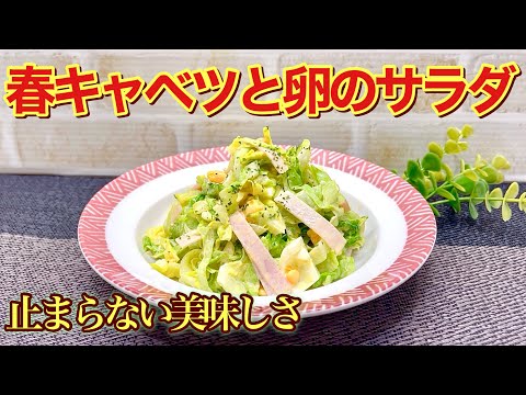 春キャベツと卵の病みつきサラダの作り方♪茹で卵入りで円やかになり調味料の配合が絶妙で止まらないほど美味しいです。キャベツをレンジでチンするので沢山頂けます。