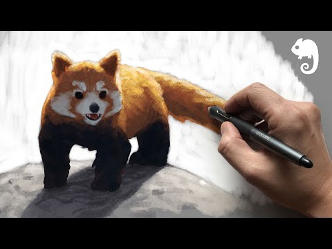 90MAC Life Drawing Class - RED PANDAS