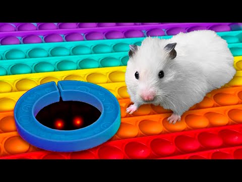 DIY Hamster Maze with Pop It | Rainbow POP IT Maze