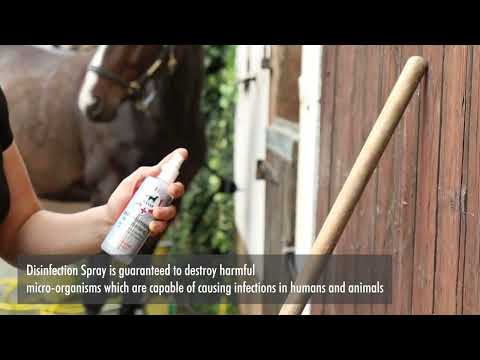 Leovet® Disinfectant Spray | Disinfectant you can rely on