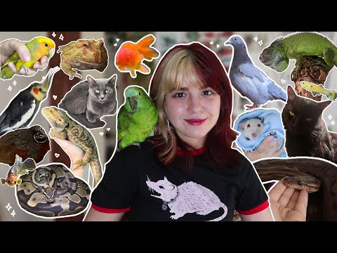 TODOS OS MEUS ANIMAIS EM UM VÍDEO (+50) *meu zoo* I 2024