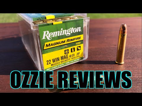 Remington 40gr JHP 22 Magnum Accuracy Test