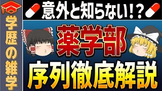 【ゆっくり解説】みんな知らない薬学部の序列