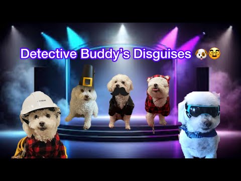 🐶🔎 Detective Buddy the Funny Bichon Dog. UNDERCOVER in PARIS! 🐶🇫🇷