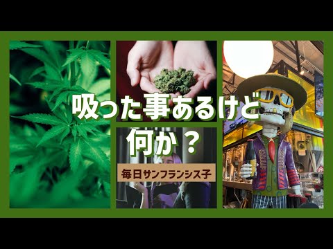 無知より知識があった方が良い【大麻の祝日 🍀4月20日】