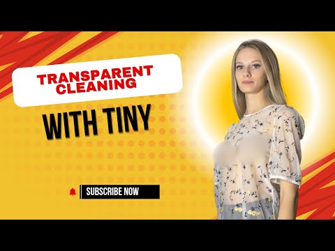 [4K TRY ON HAUL] | Transparent Cleaning Window with Tiny HouseWife🥵