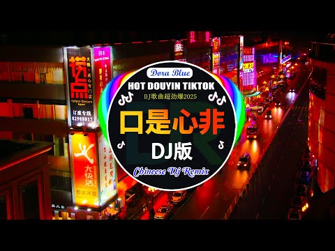 🎧全中文DJ舞曲夜店混音舞曲串烧 2024 💥2024 车载dj舞曲精选 👍Hot Tiktok Douyin Dj 抖音版2024 🔥口是心非 - DJ版,蔡健雅 - 红色高跟鞋, 张靓颖 - 画心