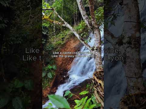 Hazel Eyes #travel #nature #vlog #travelvlog #trip #views #solotravel #waterfall #holiday #aesthetic