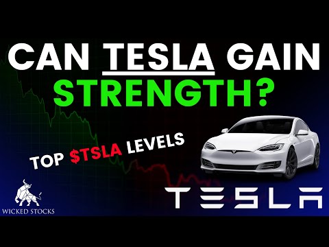 Tesla Stock Price Analysis | Top Levels To Watch for November 22nd, 2024