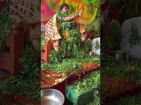 kuwari mata || kuwari mata Katro || kuwari mata katro chhattisgarh ||आषाढ़ जुडवास 2024 @amwalavlogs