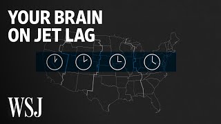 What Happens to Your Brain on Jet Lag | WSJ