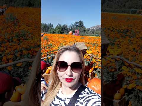 De paseo en Mictlan  un Lugar mágico #mictlan #chorts #parati #fypシ゚viral