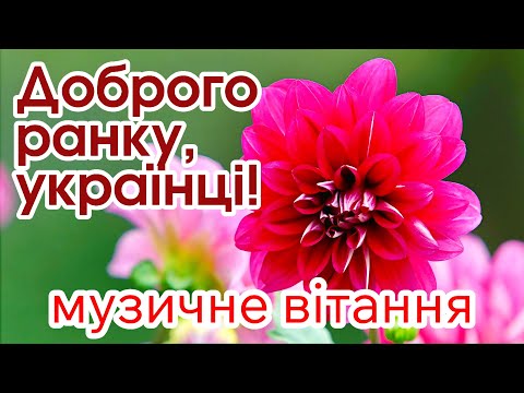 ДОБРОГО РАНКУ, УКРАЇНЦІ! МИРНОГО ВАМ ДНЯ! ДУЖЕ ГАРНЕ МУЗИЧНЕ ПРИВІТАННЯ З ДОБРИМ РАНКОМ!