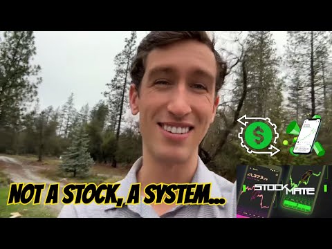 "The System" Uncovered In AI Stock Trading Masterclass