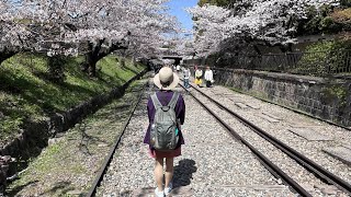 蹴上傾斜鐵道櫻花& 琵琶湖疏水/                Sakura @Old Railroad Track & Lake Biwa Canal /3-29-2023, Day 8-B