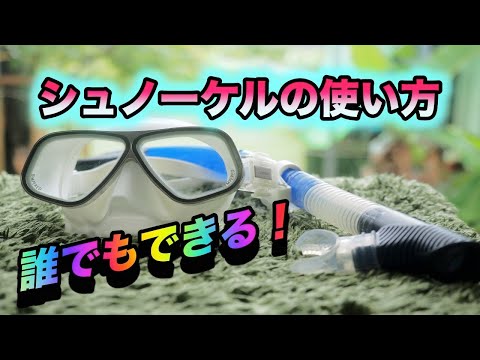 【沖縄ダイビング】ダイビング器材の説明　”シュノーケルの使い方”　ピンクマーメイド