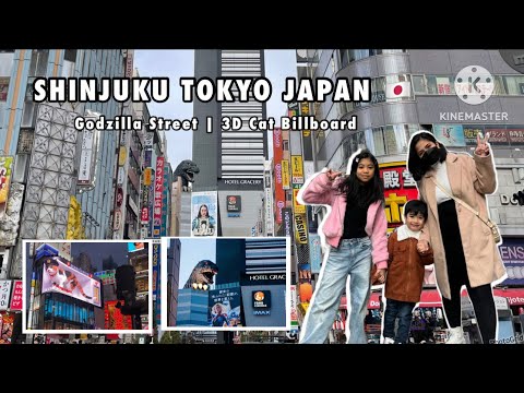 SHINJUKU TOKYO JAPAN | Walking around in Shinjuku 🇯🇵