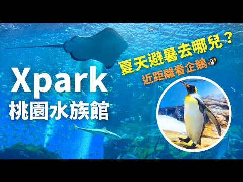 夏天避暑去哪兒? 3年前去過的桃園Xpark水族館有什麼不一樣嗎?｜北部室內景點｜暑假活動推薦｜夏天避暑吹冷氣室內景點｜週末旅遊景點｜桃園半日遊｜暑假親子旅遊｜Taoyuan Taiwan