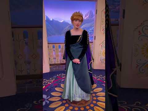 【フロリダディズニー】アナ雪の世界が完全再現！エルサとアナに会える場所♡ #shorts #disney #wdw