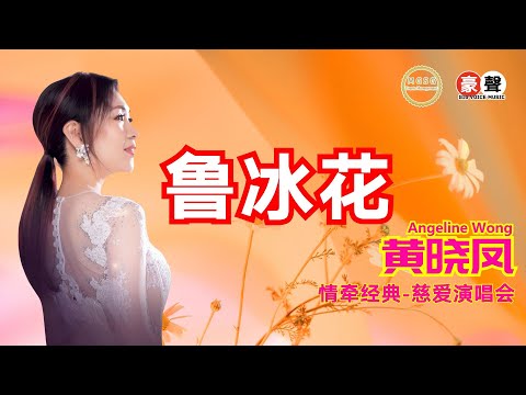 Angeline黄晓凤《鲁冰花》主唱：Nini Wong【情牵经典-慈爱演唱会】(Live) Official Music Video