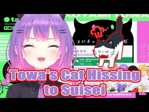 Towa's Cat intimidates Sui-chan [hololive/EN Sub] [#CUTOWA ]