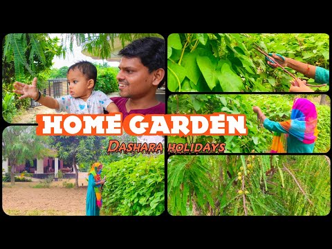 dashara holidays home garden #creativelifesdvlogs #Home #garden