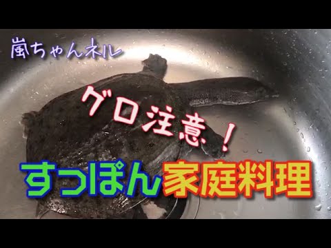 【Warning】Shanghai Mom cooks soft-shelled turtle soup!